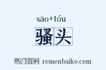 骚头是什么意思的图片